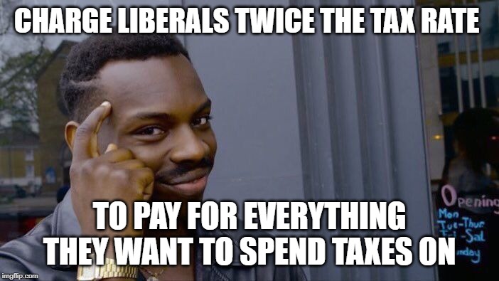 Roll Safe Think About It | CHARGE LIBERALS TWICE THE TAX RATE; TO PAY FOR EVERYTHING THEY WANT TO SPEND TAXES ON | image tagged in memes,roll safe think about it | made w/ Imgflip meme maker
