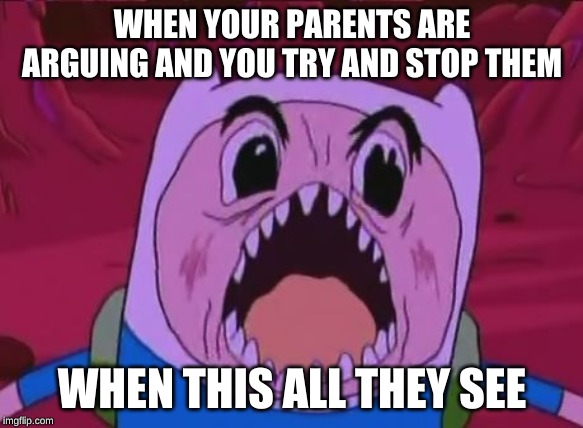 Finn The Human Meme | WHEN YOUR PARENTS ARE ARGUING AND YOU TRY AND STOP THEM; WHEN THIS ALL THEY SEE | image tagged in memes,finn the human | made w/ Imgflip meme maker