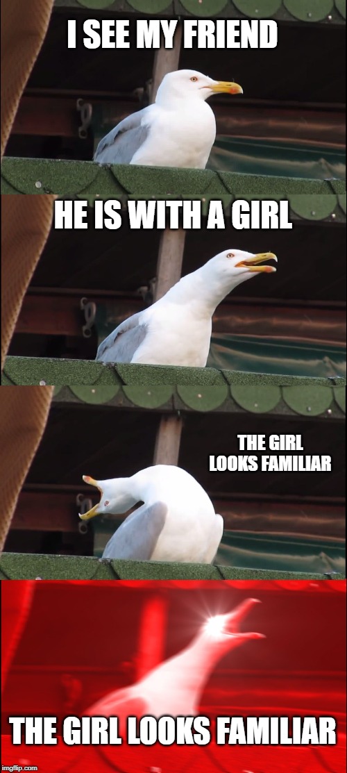 Inhaling Seagull Meme | I SEE MY FRIEND; HE IS WITH A GIRL; THE GIRL LOOKS FAMILIAR; THE GIRL LOOKS FAMILIAR | image tagged in memes,inhaling seagull | made w/ Imgflip meme maker