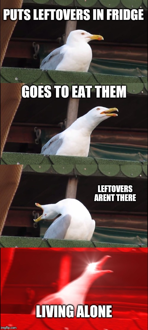 Inhaling Seagull | PUTS LEFTOVERS IN FRIDGE; GOES TO EAT THEM; LEFTOVERS ARENT THERE; LIVING ALONE | image tagged in memes,inhaling seagull | made w/ Imgflip meme maker