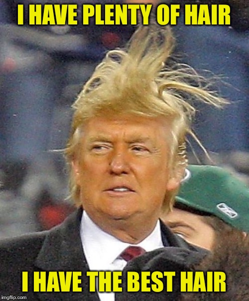 Donald Trumph hair | I HAVE PLENTY OF HAIR I HAVE THE BEST HAIR | image tagged in donald trumph hair | made w/ Imgflip meme maker