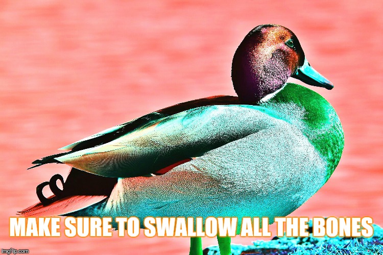 MAKE SURE TO SWALLOW ALL THE BONES | image tagged in malicious advice mallard | made w/ Imgflip meme maker
