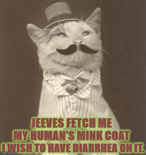 JEEVES | JEEVES FETCH ME MY HUMAN'S MINK COAT; I WISH TO HAVE DIARRHEA ON IT. | image tagged in jeeves | made w/ Imgflip meme maker
