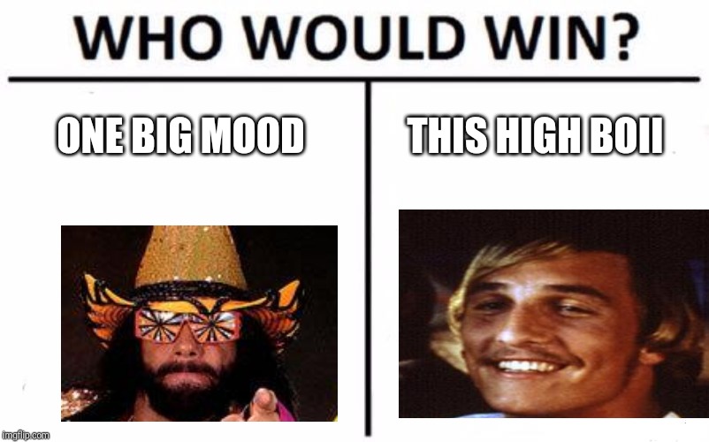 Who Would Win? | ONE BIG MOOD; THIS HIGH BOII | image tagged in memes,who would win | made w/ Imgflip meme maker