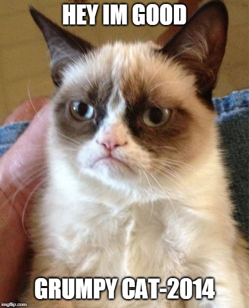 Grumpy Cat | HEY IM GOOD; GRUMPY CAT-2014 | image tagged in memes,grumpy cat | made w/ Imgflip meme maker