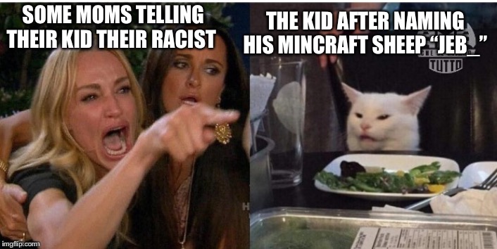 white cat table | SOME MOMS TELLING THEIR KID THEIR RACIST; THE KID AFTER NAMING HIS MINCRAFT SHEEP “JEB_” | image tagged in white cat table | made w/ Imgflip meme maker