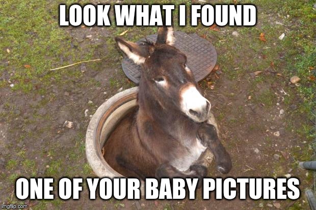 Asshole | LOOK WHAT I FOUND; ONE OF YOUR BABY PICTURES | image tagged in asshole | made w/ Imgflip meme maker