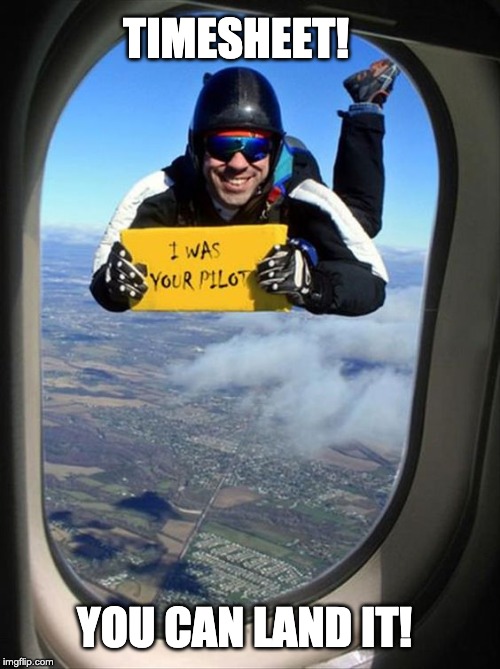 skydiving timesheet reminder | TIMESHEET! YOU CAN LAND IT! | image tagged in skydiving timesheet reminder,timesheet reminder,timesheet meme,pilot timesheet,pilot,you can land it | made w/ Imgflip meme maker