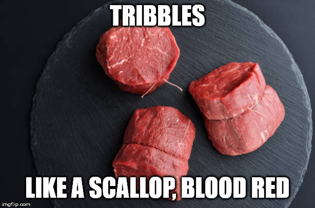 Tribbles | TRIBBLES; LIKE A SCALLOP, BLOOD RED | image tagged in tribbles,scallop,short treks,star trek,steak,tribble | made w/ Imgflip meme maker