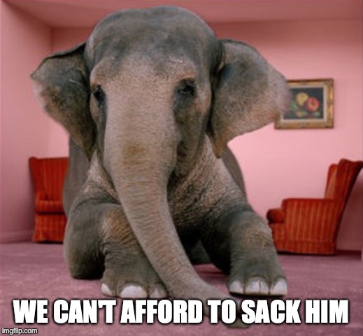 Elephant in the room | WE CAN'T AFFORD TO SACK HIM | image tagged in elephant in the room | made w/ Imgflip meme maker