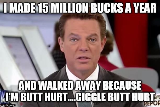 shepard smith 2 | I MADE 15 MILLION BUCKS A YEAR; AND WALKED AWAY BECAUSE I'M BUTT HURT....GIGGLE BUTT HURT | image tagged in shepard smith 2 | made w/ Imgflip meme maker