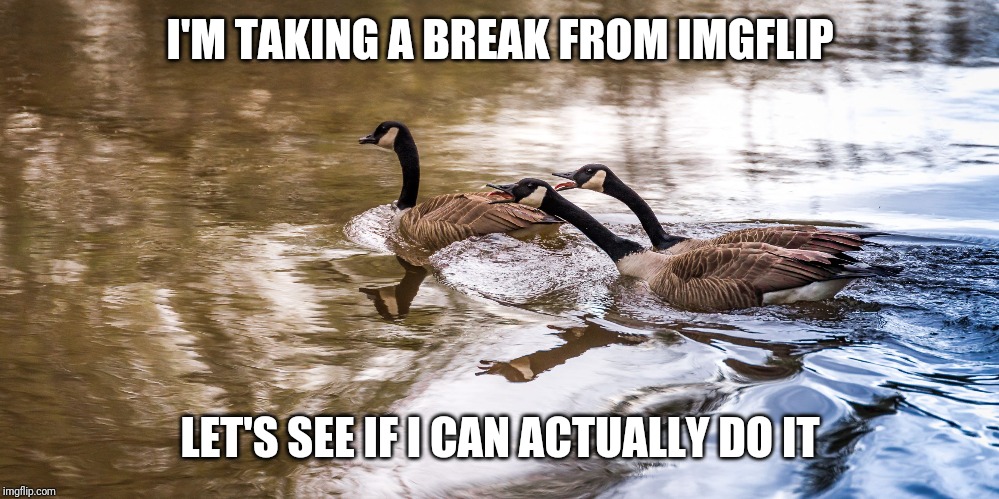 okay,okay,I'm leaving | I'M TAKING A BREAK FROM IMGFLIP; LET'S SEE IF I CAN ACTUALLY DO IT | image tagged in okay okay i'm leaving | made w/ Imgflip meme maker