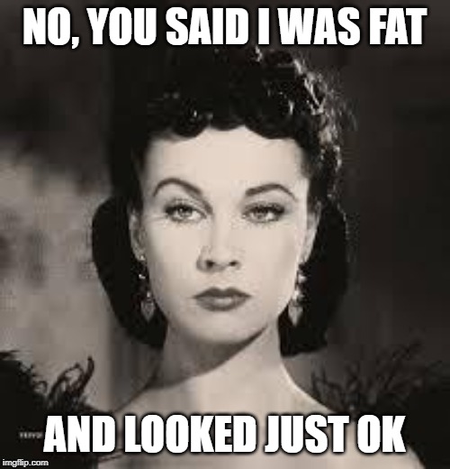 scarlet o'hara bitchy face red dress | NO, YOU SAID I WAS FAT AND LOOKED JUST OK | image tagged in scarlet o'hara bitchy face red dress | made w/ Imgflip meme maker