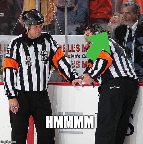 Hockey Referee  | HMMMM | image tagged in hockey referee | made w/ Imgflip meme maker