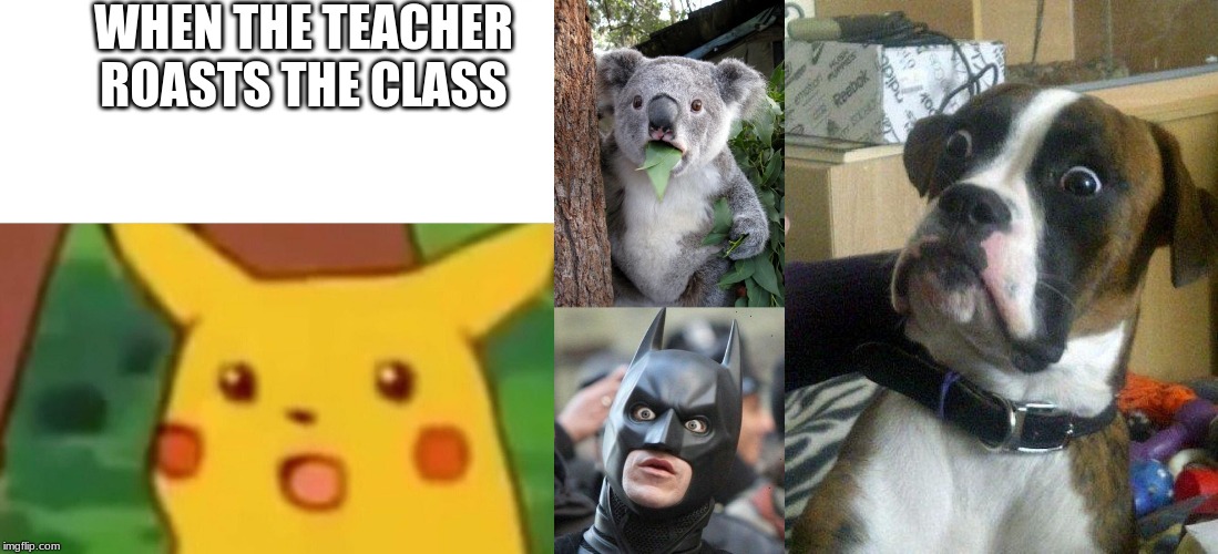  WHEN THE TEACHER
ROASTS THE CLASS | image tagged in memes,surprised koala,shocked batman,surprised dog,surprised pikachu | made w/ Imgflip meme maker