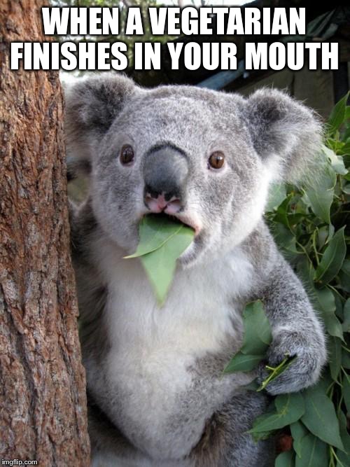 Surprised Koala | WHEN A VEGETARIAN FINISHES IN YOUR MOUTH | image tagged in memes,surprised koala | made w/ Imgflip meme maker
