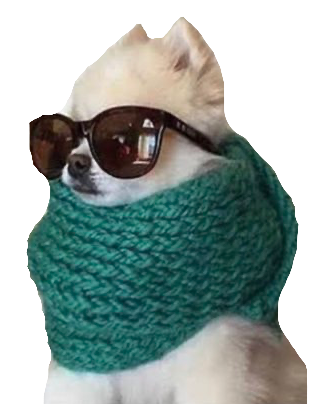 Bom dia rico Blank Meme Template