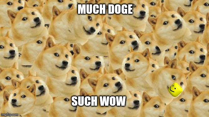 Multi Doge | MUCH DOGE; SUCH WOW | image tagged in memes,multi doge | made w/ Imgflip meme maker