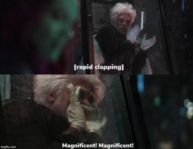 Magnificent! | image tagged in magnificent | made w/ Imgflip meme maker