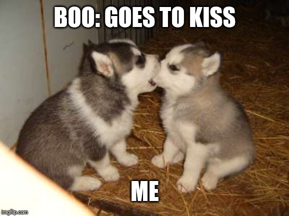 Cute Puppies Meme | BOO: GOES TO KISS; ME | image tagged in memes,cute puppies | made w/ Imgflip meme maker