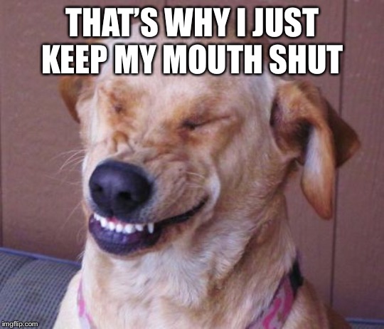 dog laugh | THAT’S WHY I JUST KEEP MY MOUTH SHUT | image tagged in dog laugh | made w/ Imgflip meme maker