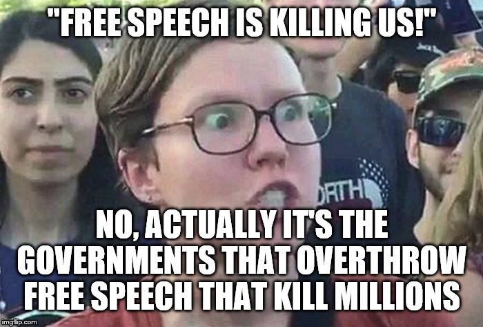 meme angry woman | "FREE SPEECH IS KILLING US!"; NO, ACTUALLY IT'S THE GOVERNMENTS THAT OVERTHROW FREE SPEECH THAT KILL MILLIONS | image tagged in meme angry woman | made w/ Imgflip meme maker