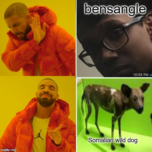 Hilarious |  bensangle; Somalian wild dog | image tagged in hard pills to swallow | made w/ Imgflip meme maker