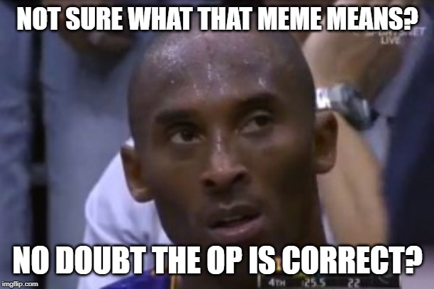 Questionable Strategy Kobe Meme | NOT SURE WHAT THAT MEME MEANS? NO DOUBT THE OP IS CORRECT? | image tagged in memes,questionable strategy kobe | made w/ Imgflip meme maker