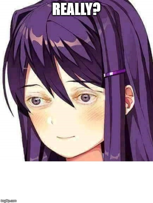 Yuri Doki Doki | REALLY? | image tagged in yuri doki doki | made w/ Imgflip meme maker