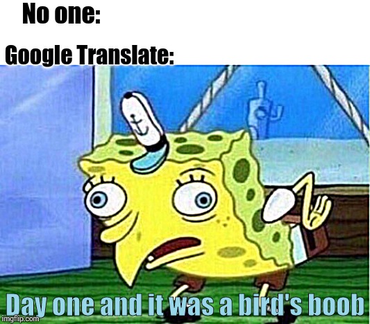 Damn it Google Translate... | No one:; Google Translate:; Day one and it was a bird's boob | image tagged in memes,mocking spongebob,google translate,oh no it's retarded,retarded | made w/ Imgflip meme maker