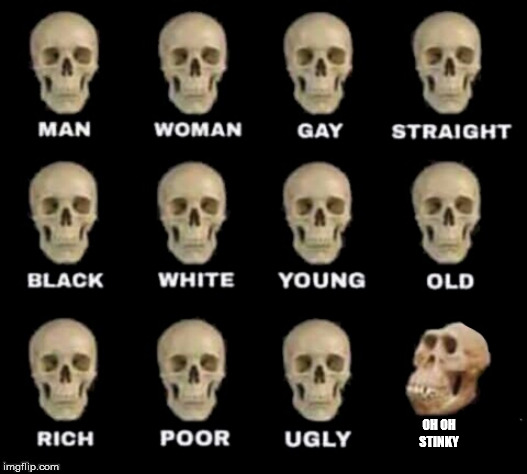 idiot skull | OH OH STINKY | image tagged in idiot skull | made w/ Imgflip meme maker