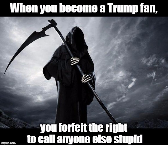 Trump fans can't accuse others of being stupid | . | image tagged in trump fans can't accuse others of being stupid,grim reaper,trump,fans,stupid | made w/ Imgflip meme maker