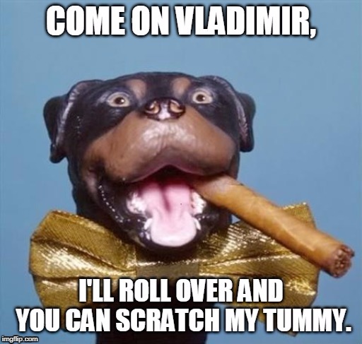 . | image tagged in trump,triumph the insult comic dog,putin | made w/ Imgflip meme maker