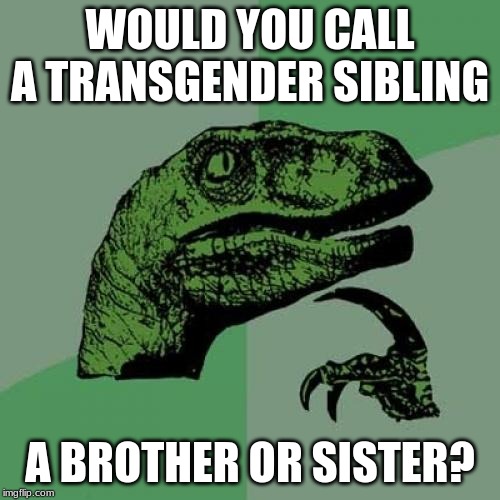 Philosoraptor Meme | WOULD YOU CALL A TRANSGENDER SIBLING; A BROTHER OR SISTER? | image tagged in memes,philosoraptor | made w/ Imgflip meme maker