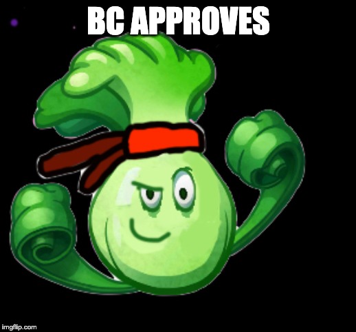 BC APPROVES | made w/ Imgflip meme maker