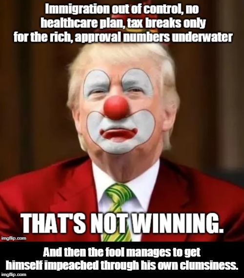 And then the fool manages to get himself impeached through his own clumsiness. | image tagged in trump,winning,fail,immigration,health care,rich | made w/ Imgflip meme maker