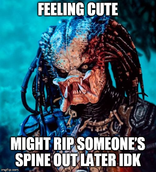 FEELING CUTE MIGHT RIP SOMEONE’S SPINE OUT LATER IDK | made w/ Imgflip meme maker