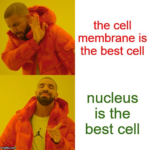 Drake Hotline Bling | the cell membrane is the best cell; nucleus is the best cell | image tagged in memes,drake hotline bling | made w/ Imgflip meme maker