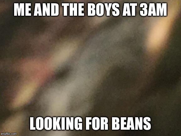 Epic | ME AND THE BOYS AT 3AM; LOOKING FOR BEANS | image tagged in funny,turtle,dank memes | made w/ Imgflip meme maker