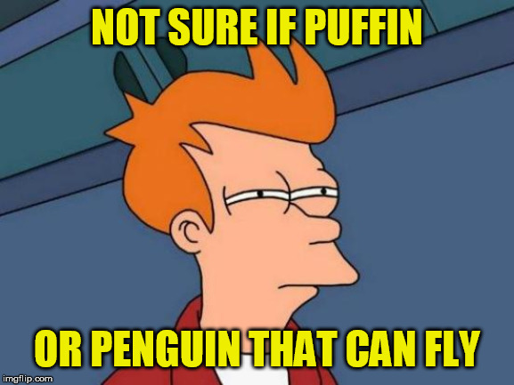 Futurama Fry Meme | NOT SURE IF PUFFIN OR PENGUIN THAT CAN FLY | image tagged in memes,futurama fry | made w/ Imgflip meme maker