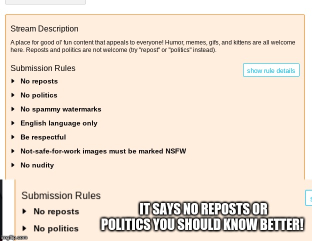 IT SAYS NO REPOSTS OR POLITICS YOU SHOULD KNOW BETTER! | image tagged in rules,imgflip users,screenshot,memes | made w/ Imgflip meme maker