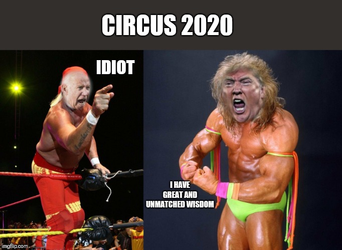 CIRCUS 2020; IDIOT; I HAVE GREAT AND UNMATCHED WISDOM | image tagged in circus,2020 elections,joe biden,donald trump | made w/ Imgflip meme maker