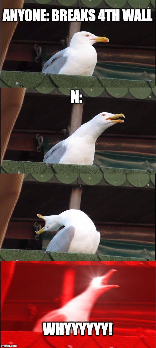 N in a nutshell | ANYONE: BREAKS 4TH WALL; N:; WHYYYYYY! | image tagged in memes,inhaling seagull | made w/ Imgflip meme maker