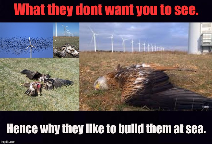 #Windfarms | What they dont want you to see. Hence why they like to build them at sea. | image tagged in green party,the great awakening,government corruption,corruption,environmental protection agency,parliament | made w/ Imgflip meme maker
