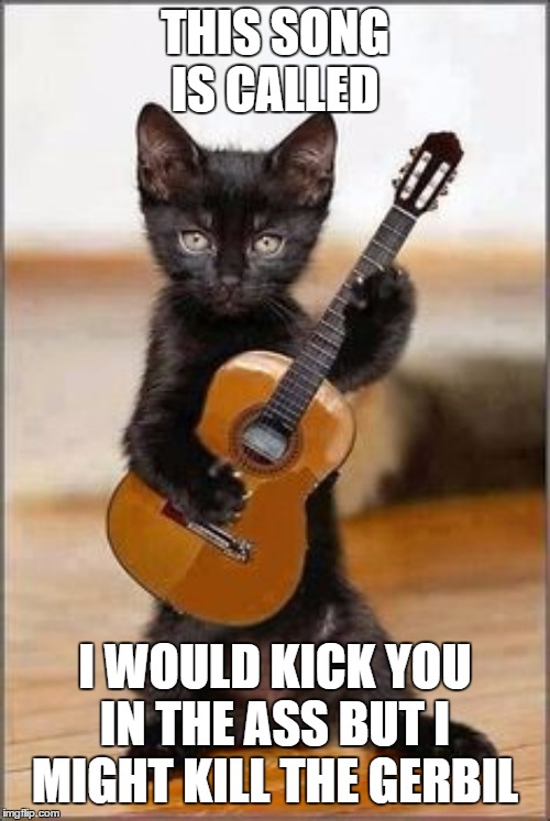 Guitar at1 | THIS SONG IS CALLED; I WOULD KICK YOU IN THE ASS BUT I MIGHT KILL THE GERBIL | image tagged in guitar at1,random,cat | made w/ Imgflip meme maker