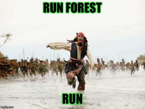 Jack Sparrow Being Chased Meme | RUN FOREST; RUN | image tagged in memes,jack sparrow being chased | made w/ Imgflip meme maker