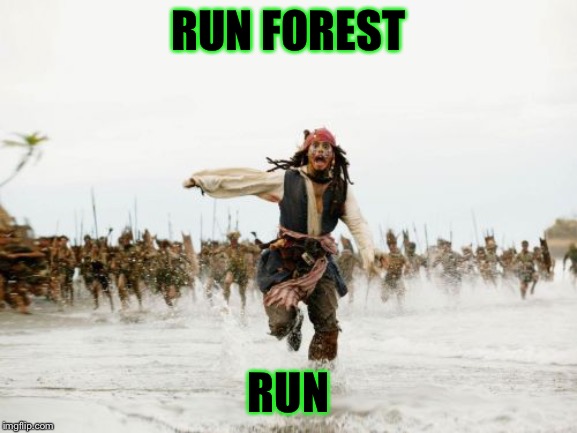 Jack Sparrow Being Chased | RUN FOREST; RUN | image tagged in memes,jack sparrow being chased | made w/ Imgflip meme maker