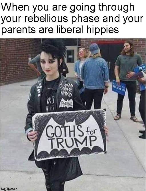 Make Rebellion Great Again |  When you are going through your rebellious phase and your
parents are liberal hippies | image tagged in memes,goth people,rebellion,liberals | made w/ Imgflip meme maker