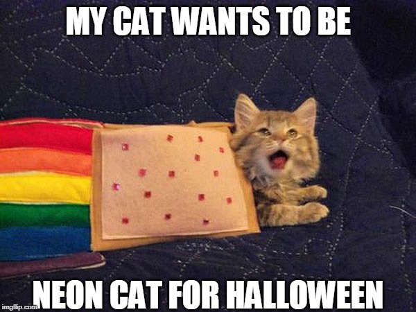 NEON CAT | MY CAT WANTS TO BE; NEON CAT FOR HALLOWEEN | image tagged in neon,cat,cats,halloween costume | made w/ Imgflip meme maker