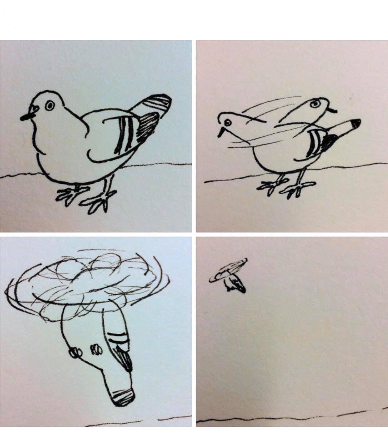 High Quality Helicopter pigeon Blank Meme Template